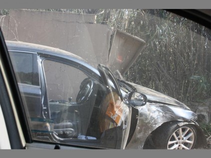 Buzzed off... Angry bees surround the victim's vehicle.