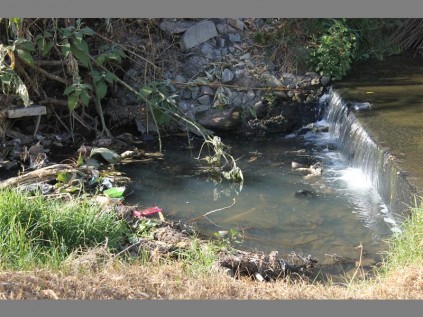 Floating garbage… Bits and pieces of litter are found floating on the river along Helen Road in Strathavon.