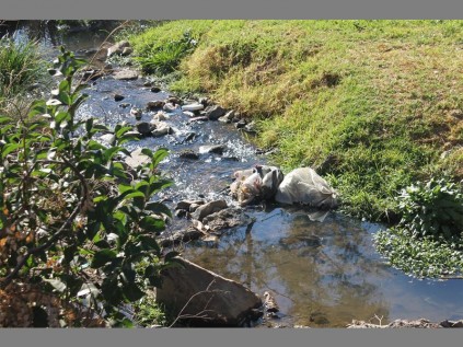 Garbage dump in the water… A refuse bag sits in the river along Helen Road in Strathavon.