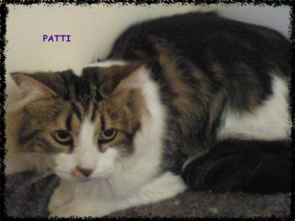 Patti.