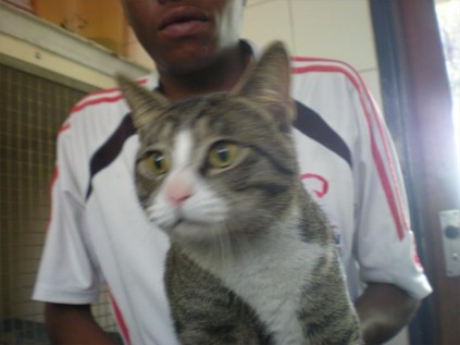 Kitty