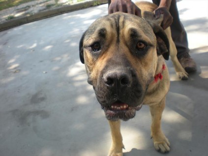 Thelma