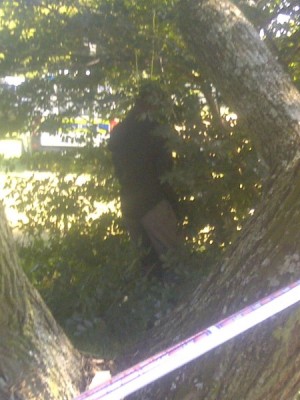 A body was founding hanging from a tree off Corlette Drive, Sandton, on 13 March.
