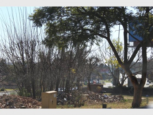 Rubbish... Even after the most of the rubble was removed some is still visible under a tree in George Lea Park (south).