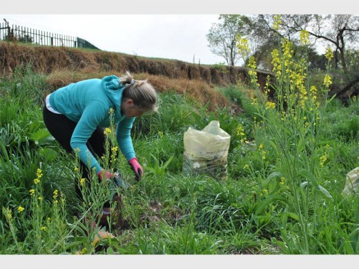 Jessica Burnet cleans the riverbank.