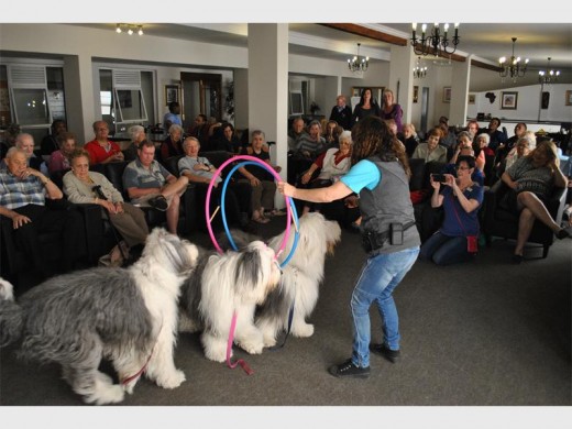 The JOY Dogs in action, putting on a show for the elderly.
