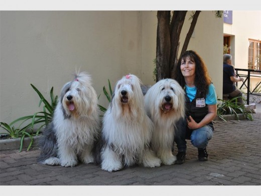 Sue Green with the JOY Dogs – Jazmine, Oscar and Yola.