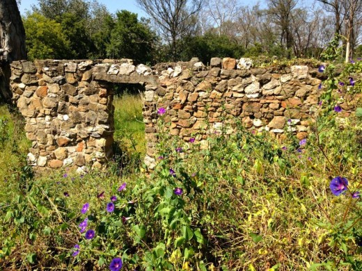 The remains of the Wilhelmi Stable. Photo: Heritage Portal