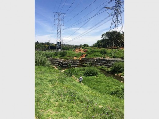 Kate Wardle worked tirelessly this year to make George Lea Park green, healthy and safe again but more work is needed next year.