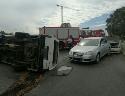 Most were found standing around the scene, others were found lying across the roadway.